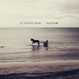 A Violet Pine Turtles Album