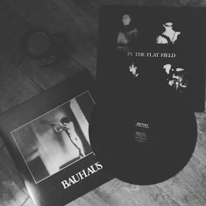 bauhaus In the Flat Field